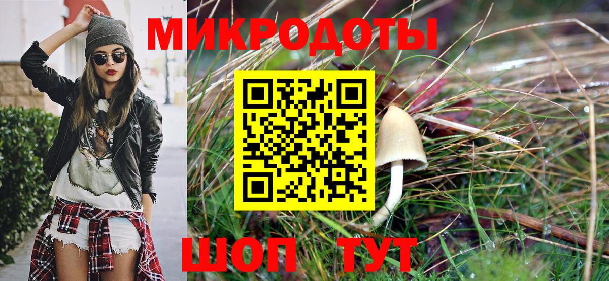 Галлюциногенные грибы Psilocybe  Вход с VPN  Казань 