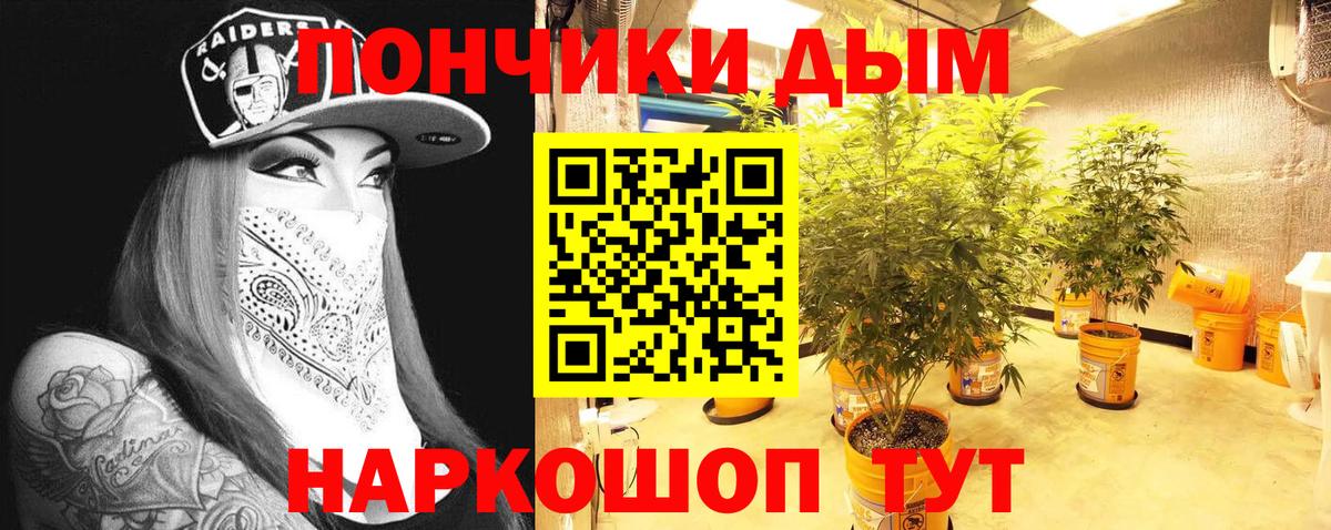 Бошки Шишки Amnesia  Канабис гибрид  Шишки марихуана планчик  Казань  Бошки Шишки тримм  Вход с VPN 